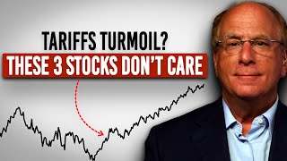 BlackRock's Fink Says "Digital Sovereignty Is The Future" - And These 3 Stocks To Watch Now For That