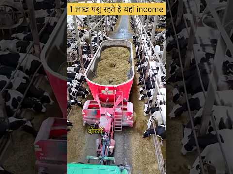 1 लाख पशु रहते है यहां income kitni 🤯
