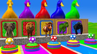 Long Slide Game With Elephant Gorilla Buffalo Hippopotamus Tiger - 3d Animal Game - Funny 3d Animals