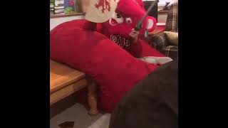 A day in the life of a teddy bear (new show) episode 1