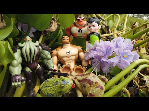 Mencari dan Menemukan Mainan Ben 10, Katak di Pinggir Kolam