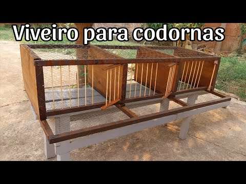 Passo a passo de como fazer um viveiro gaiola para codornas