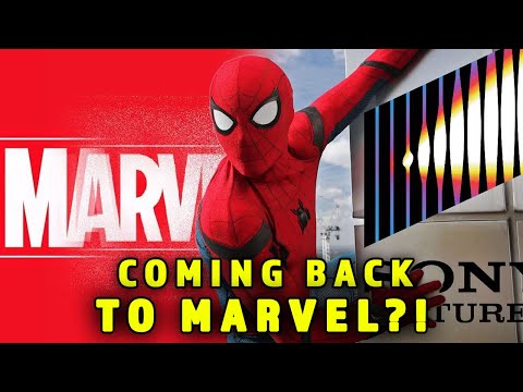 SONY CANCELS ALL SPIDER-MAN MOVIES! Spidey Going BACK TO MARVEL?