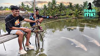 Mga Bagong Kaibigan | Team itik Philippine Loop