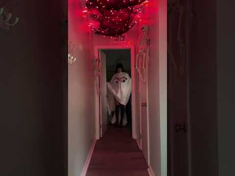 My house is haunted! ☠️?