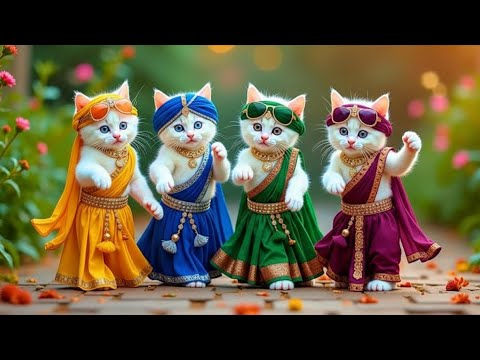 😻 Cat Dance Video | बिल्ली का जबरदस्त डांस 🕺🔥 | Funny Cat Dance 2025 | Trending Shorts