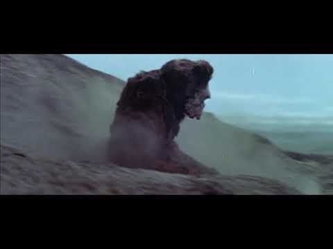 King Kong vs Godzilla but the monsters do absolutely nothing