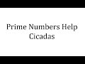 Cicada Life Cycles and Mathematics