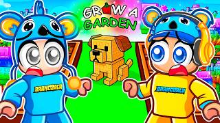 Um CACHORRO Entrou no meu Jardim do GROW A GARDEN no Roblox - Brancoala Games
