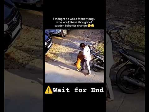 😮Dogs are Very...⚠️ #shorts #trending