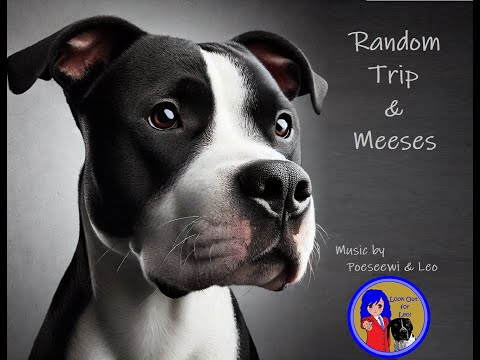 Random Trip & Meeses Random Trip & Meeses
Leo’s Voice_ https_//ttsmaker.com/
AI Images by Microsoft Images
Music_ Poese