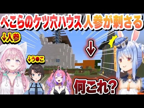 ぺこらのケツ穴ハウスに人参が刺さる＋ぺこスバの煽り合いまとめ【兎田ぺこら/大空スバル/ときのそら/博衣こより/ホロライブ/切り抜き】