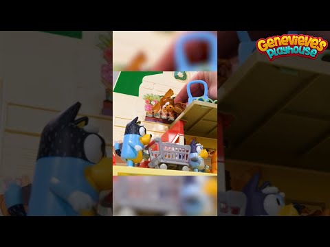 Bluey and Bingo have spending Money at the Supermarket!