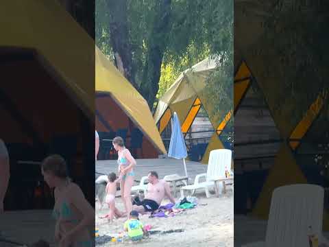 Собака плавает на сап доске. Часть 4
