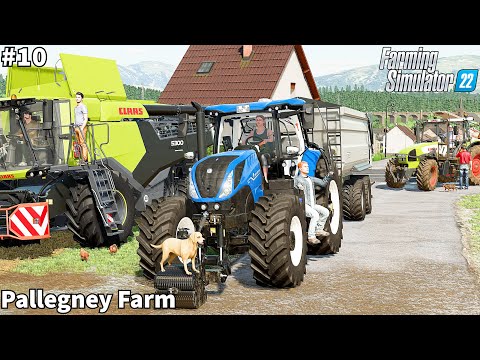 Feeding Bulls & Cows, Baling Straw, Finishing Harvesting Wheat│Pallegney│FS 22│Timelapse#10