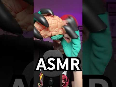 Fast Brain ASMR 🧠
