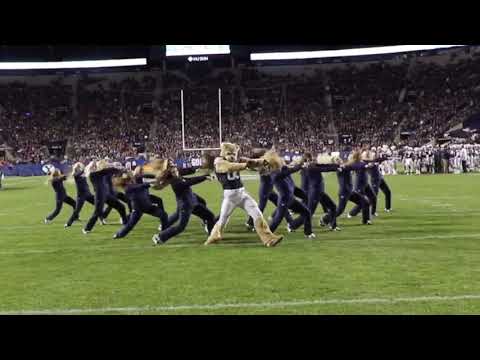 You Need To Know About Cosmo, The BYU Cougars Football Mascot Who Is A Dancing LEGEND!