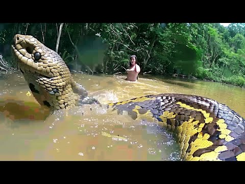 30 Animais Assustadores Que Você Está Tão Feliz Por Estarem Extintos