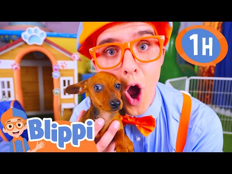 Blippi’s Puppy Playdate: Chase, Fetch & Laughs! | Blippi - Educational Videos For Kids