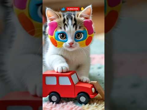 #cat #kucing #kucingmager #catlover #kucinglucu #funnycats #cutecat #oyenlucu  #feedshorts #shorts