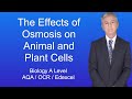 Osmosis Effects on Cells