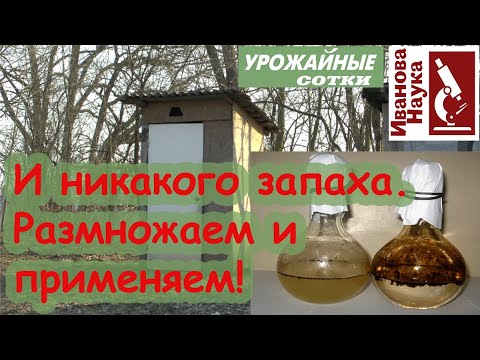 Дармовое домашнее средство от запаха в туалете! Размножаем и применяем!