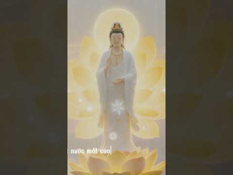 #loiphatday #phatphap #baihoccuocsong