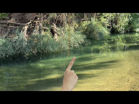 Micro Pesca en Arroyo de Agua Cristalina