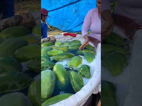 Perlakuan khusus pada buah agar cepat matang