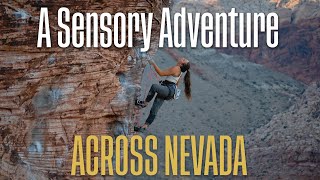 Take a Sensory Adventure Across Nevada