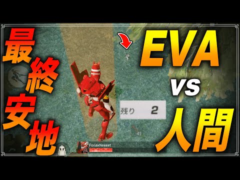 【荒野行動】合法チーミングできるEVAで最終安地1vs1余裕と思いきや。