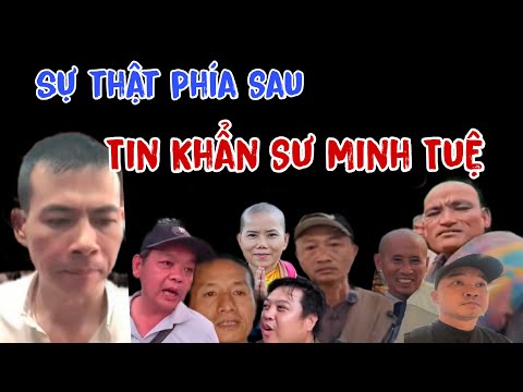 T28 Tô Quyền Nói Thông Tin Trái Chiều Từ Sư  Minh Tuệ Hồng Túi Chéo Trạng Gia