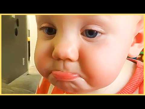 Funniest Baby Video You Can't Miss! 🤣 Baby Video for Baby to Watch