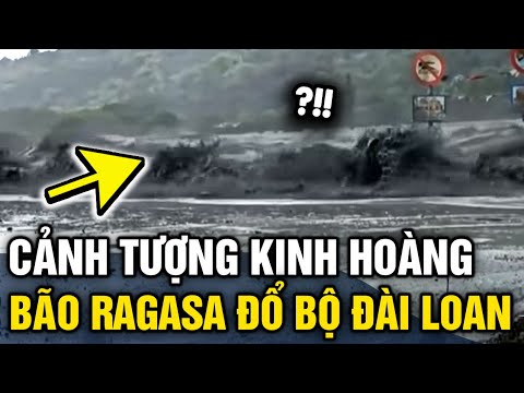 Bão Ragasa ĐỔ BỘ ĐÀI LOAN, nhìn cảnh tượng khiến người xem KHIẾP VÍA | Tin 3 Phút