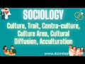 Cultural Change and Concepts