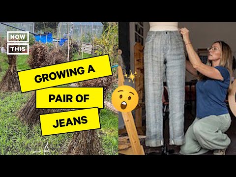 Woman Produces UK’s First Pair of Homegrown Jeans