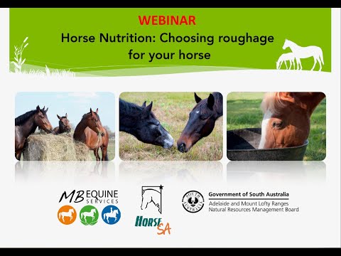 Horse Nutrition: Choosing roughage for your horse