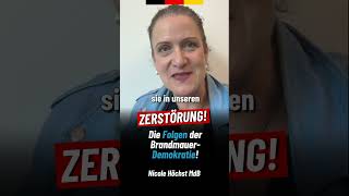 👉 AfD-Politikerin mit scharfer Kritik: „Unsere Demokratie zurück!“ 🔥💙💙💙