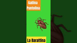 Gallina Puntolina - La Barattina