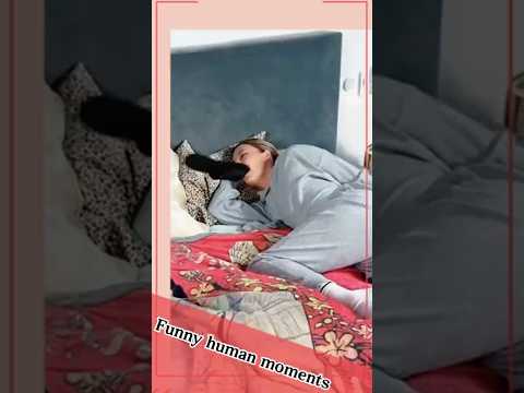 Moments when humans prank others 😂🤣  #funny #interesting   #funnyshorts