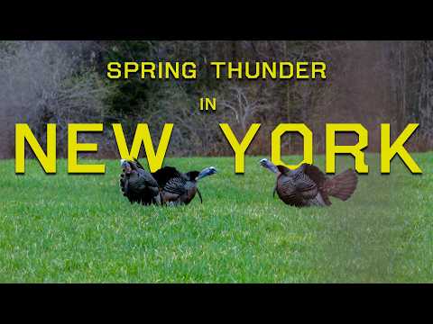 Missing, and Making it Happen | North East Turkey Hunting | Spring Thunder