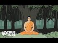 Exploring the Journey of Siddhartha to Enlightenment
