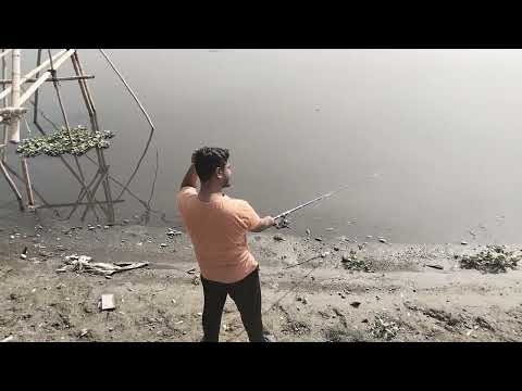 Fish catching hook fish video | Amazing fishing video today