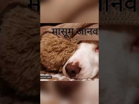 दिवाली पर खुशी बांटे बीमारियां नहीं 🙏#greendiwali #safe #healthylife #happiness