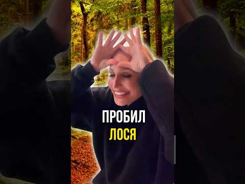 Пробил лося 🫎
