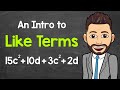 Identifying Like Terms in Algebraic Expressions