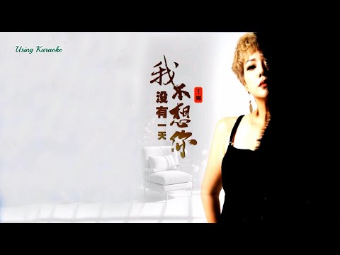 我沒有一天不想你-王娜-演唱 KARAOKE