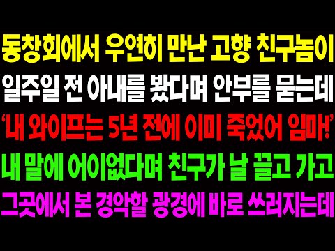 (실화사연) 동창회에서 우연히 만난 고향 친구가 일주일 전 아내를 봤다며 안부를 묻는데 '내 아내는 죽었어' 내 말에 친구가 날 끌고 가는데/ 사이다 사연,  감동사연, 톡톡사연