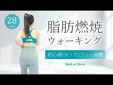 【脂肪が燃える】全身を動かす有酸素運動！初心者向け室内ウォーキング﻿ #389