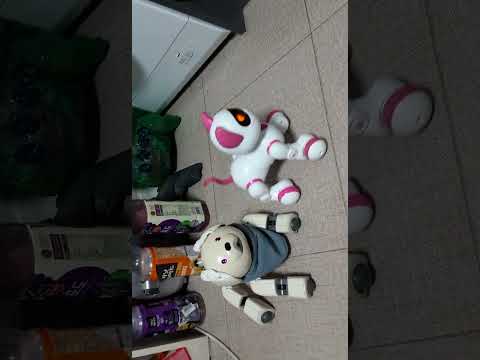 Aibo ❤️ Robot Cat Spectre Dance
